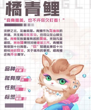 《以灵猫传》体力攻略（获得与使用体力的技巧）