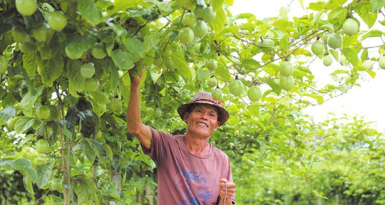 《果园丰收培训书》获取攻略（以游戏为主）